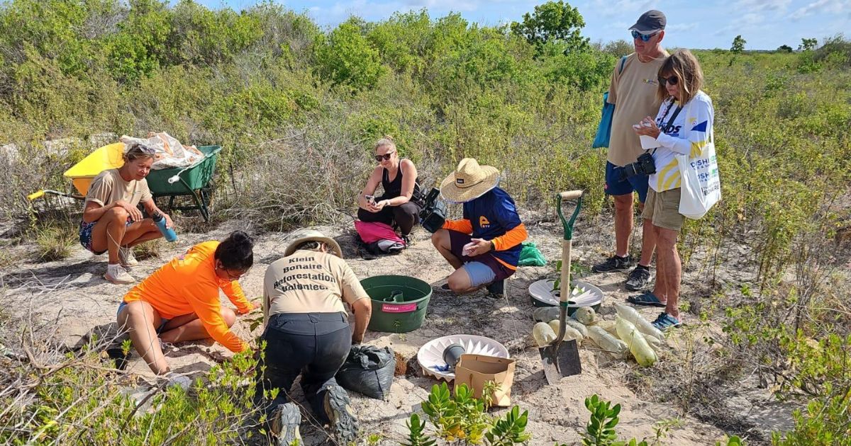 Klein Bonaire wordt eiland vol palmen